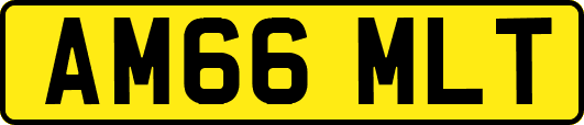 AM66MLT