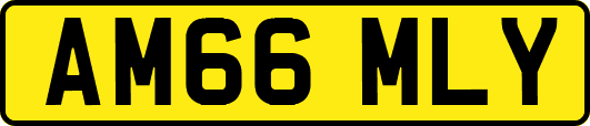 AM66MLY