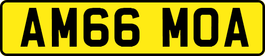 AM66MOA
