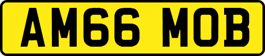 AM66MOB