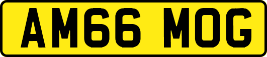 AM66MOG