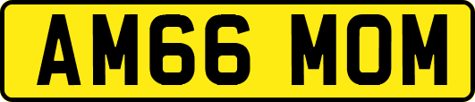 AM66MOM