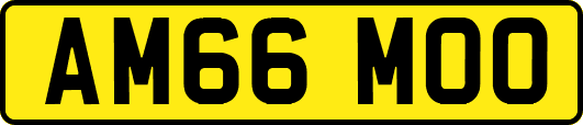 AM66MOO