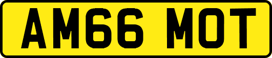 AM66MOT