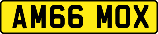 AM66MOX