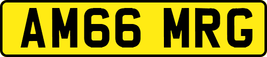 AM66MRG