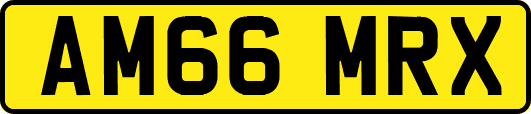 AM66MRX
