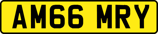 AM66MRY