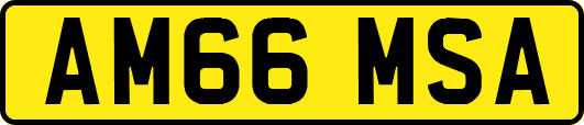 AM66MSA