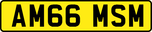 AM66MSM