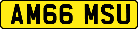 AM66MSU