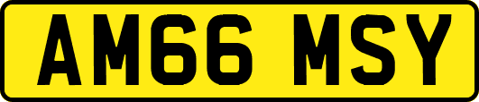 AM66MSY