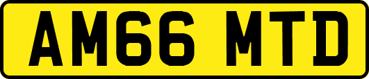 AM66MTD