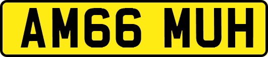 AM66MUH