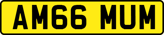 AM66MUM