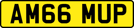 AM66MUP