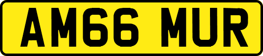 AM66MUR