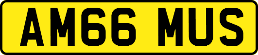 AM66MUS