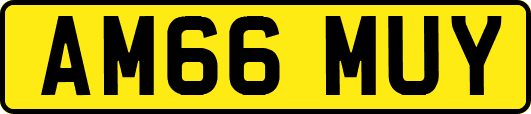 AM66MUY
