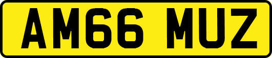 AM66MUZ