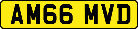 AM66MVD