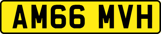 AM66MVH