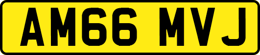 AM66MVJ