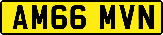 AM66MVN