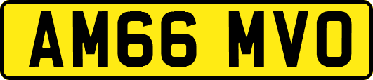AM66MVO