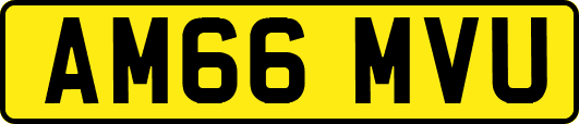 AM66MVU