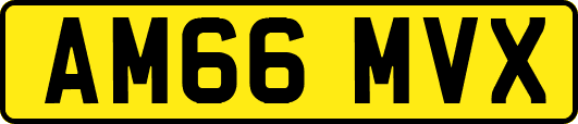 AM66MVX