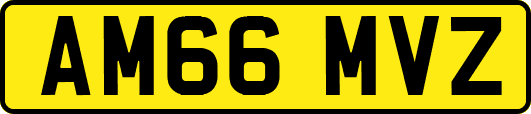 AM66MVZ