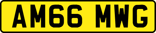AM66MWG