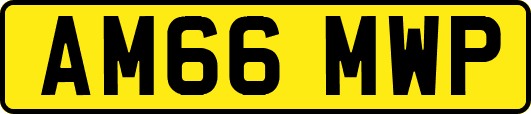 AM66MWP