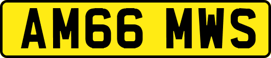 AM66MWS