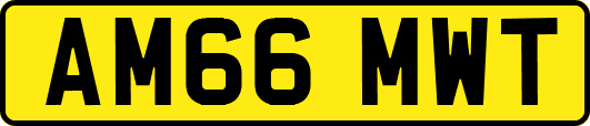 AM66MWT