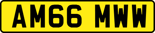 AM66MWW