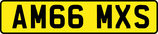 AM66MXS