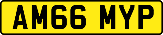 AM66MYP