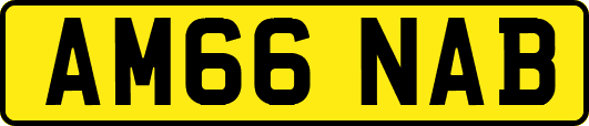 AM66NAB