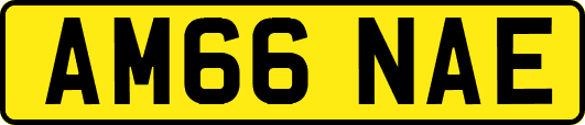 AM66NAE
