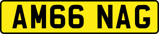 AM66NAG