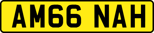 AM66NAH