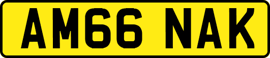 AM66NAK