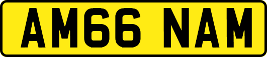 AM66NAM