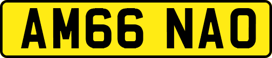 AM66NAO