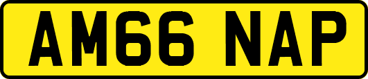 AM66NAP