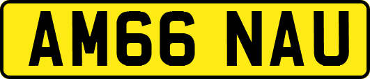 AM66NAU