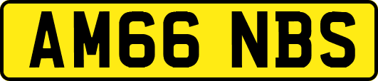 AM66NBS