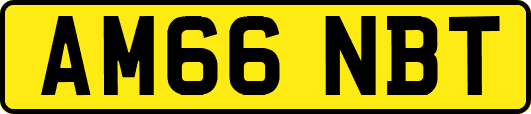 AM66NBT